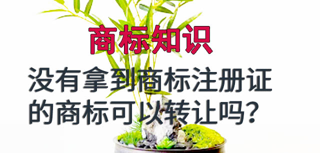 正在申请中的商标，可以办理商标转让吗？